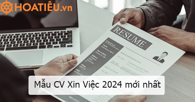 Mẫu CV xin việc file Word đơn giản
