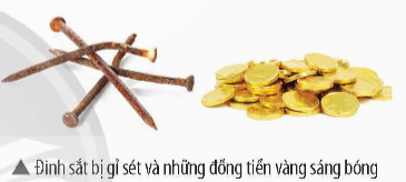 Kế hoạch bài dạy môn Hóa học 9 Chân trời sáng tạo