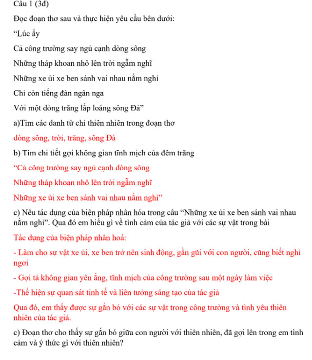 Đáp án đề thi Tiếng Việt vào lớp 6 trường Cầu Giấy 2024