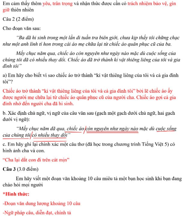 Đáp án đề thi Tiếng Việt vào lớp 6 trường Cầu Giấy 2024