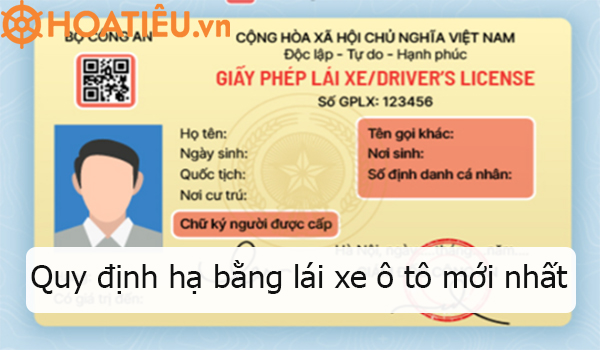 Hạ bằng lái xe 2024