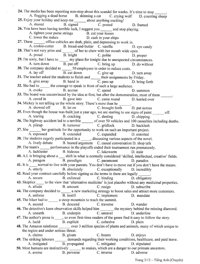  Đề thi chuyên Anh THPT Năng khiếu TP HCM 2024