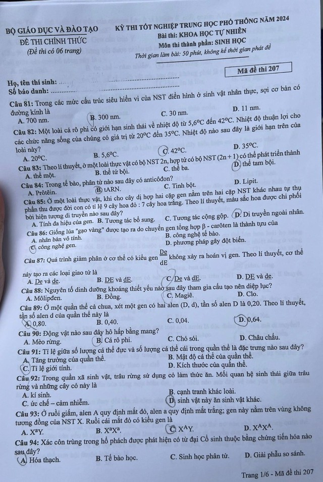 Đề thi môn Sinh học THPT Quốc gia năm 2024