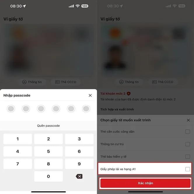 Tra cứu GPLX trên VNeID