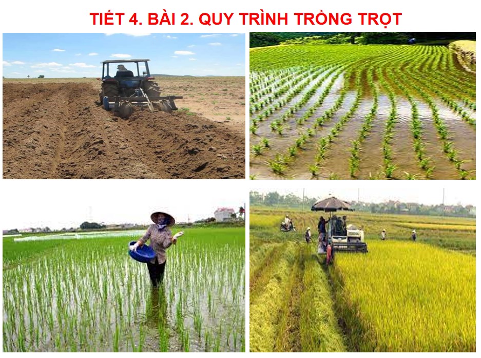 Giáo án PPt Công nghệ 7 Cánh Diều bài 2