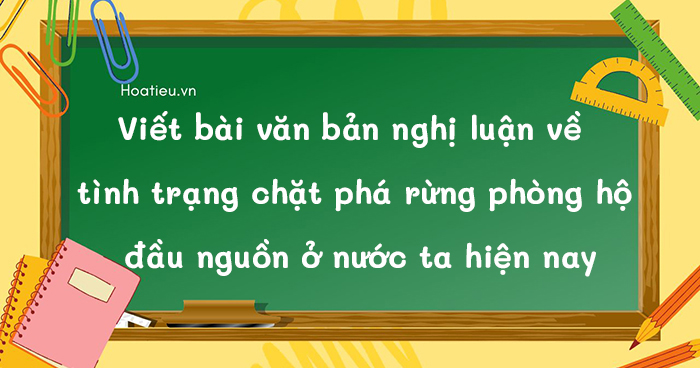 Nghị luận về tình trạng chặt phá rừng phòng hộ đầu nguồn