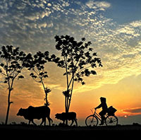 (Chuẩn) Soạn bài Quê hương lớp 9 Chân trời sáng tạo