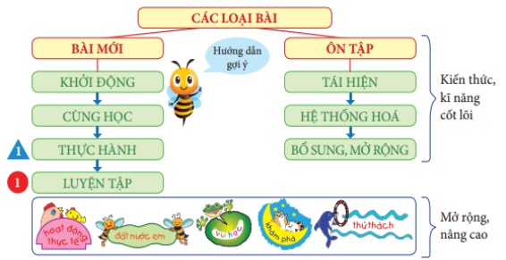 Nội dung tự bồi dưỡng sách giáo khoa lớp 5 năm học 2024-2025