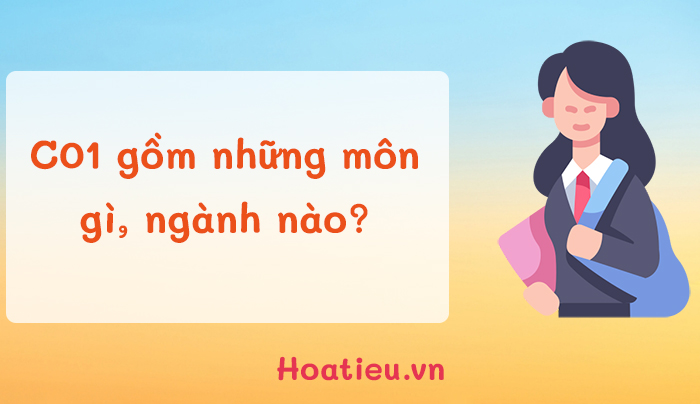 Khối C01 gồm những môn gì?