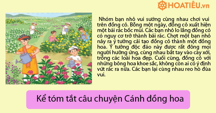 Kể tóm tắt nội dung câu chuyện Cánh đồng hoa theo gợi ý