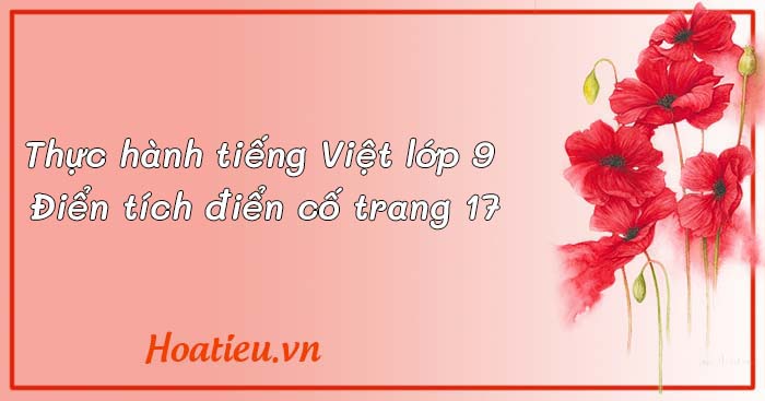 Soạn Văn 9 KNTT tập 1 Điển tích điển cố