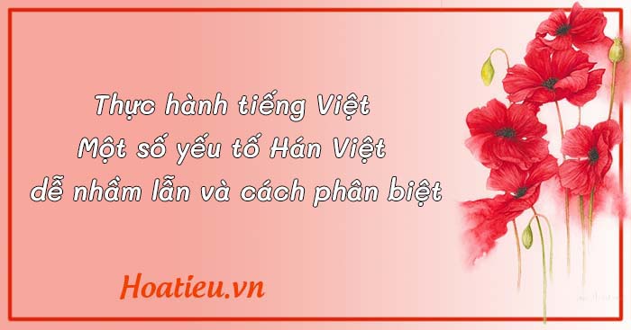 Soạn bài Thực hành tiếng Việt 9 KNTT trang 22