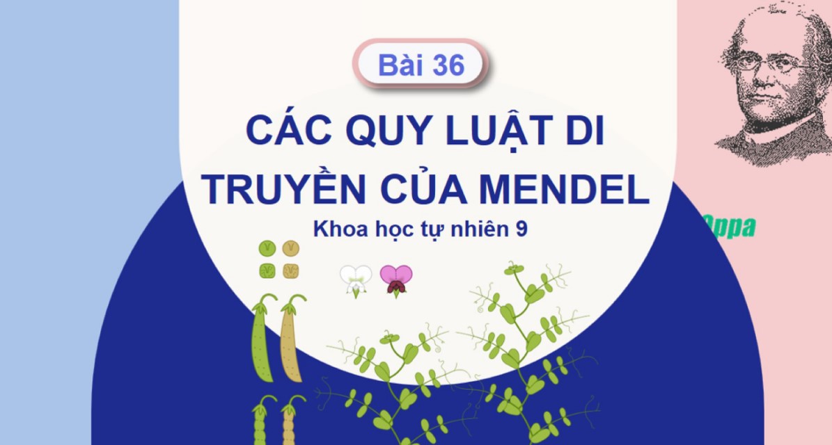 Giáo án Sinh học 9 CTST bài 36