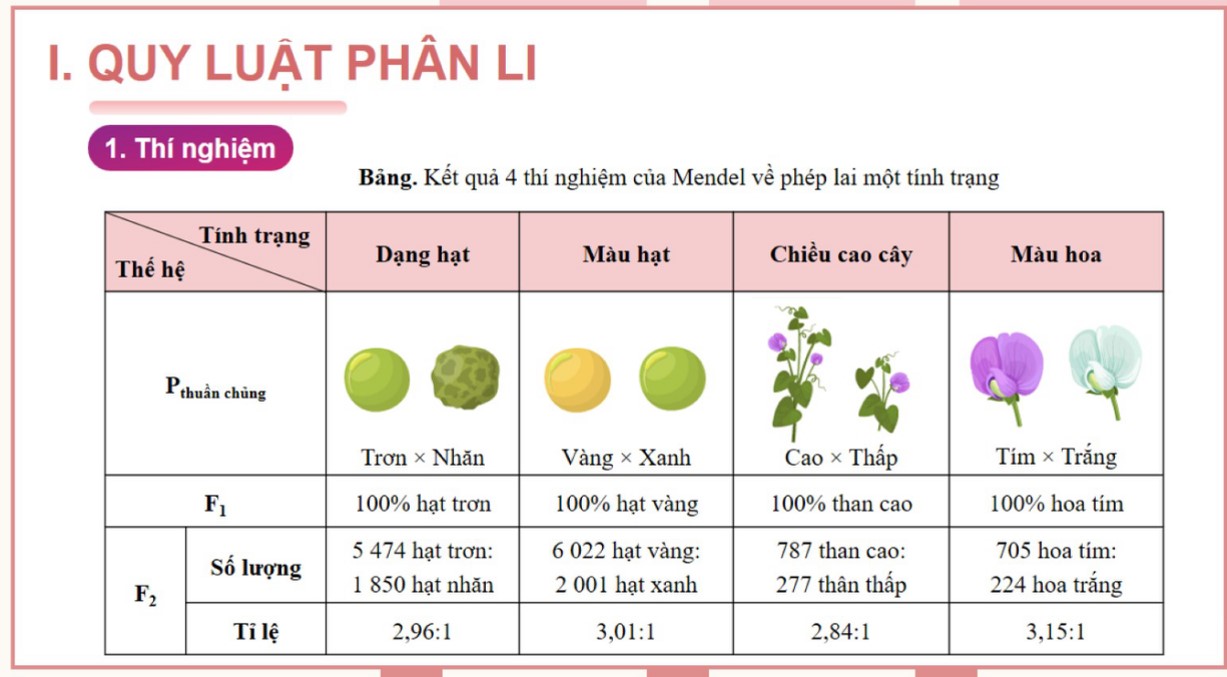 Giáo án Sinh học 9 CTST bài 36