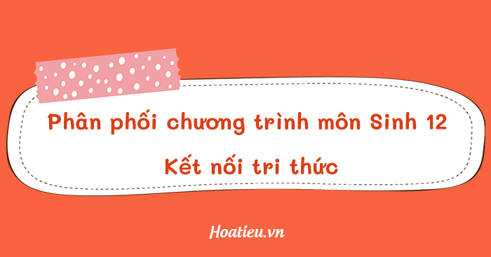 Mẫu kế hoạch dạy học môn Sinh lớp 12 KNTT