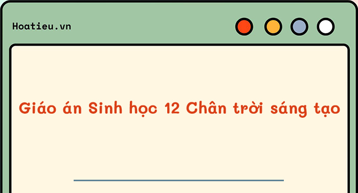 Kế hoạch bài dạy môn Sinh lớp 12 Chân trời sáng tạo