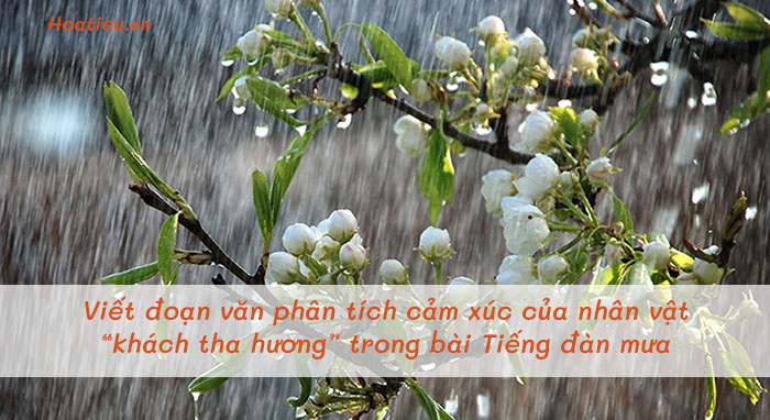 Viết kết nối với đọc trang 49 ngữ văn 9 tập 1 KNTT