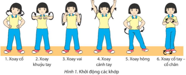 Giáo án Thể dục 6 Chân trời sáng tạo