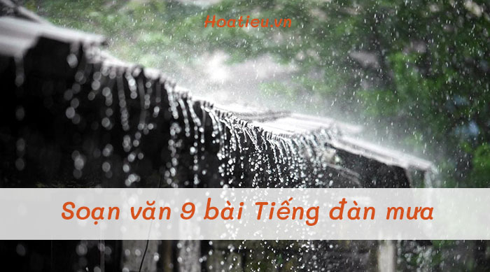 Soạn Tiếng đàn mưa