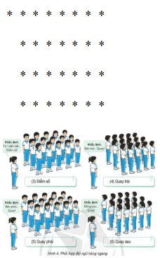 Giáo án Giáo dục thể chất 5 Cánh Diều