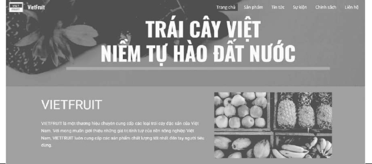 Giáo án Tin 12 Tin học ứng dụng bộ Chân trời sáng tạo