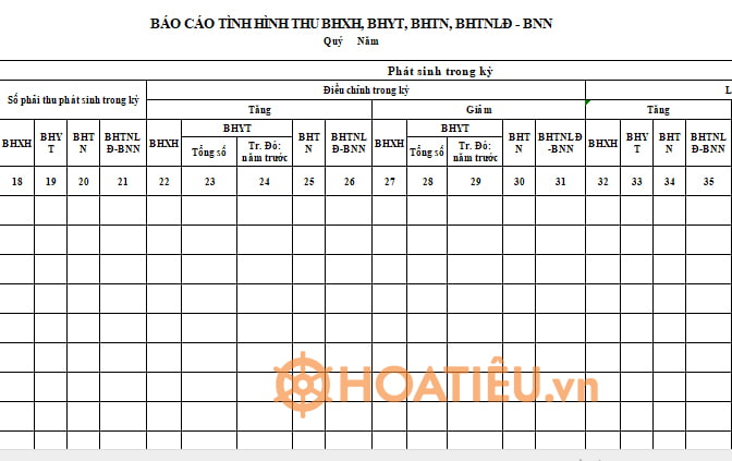 Mẫu số B02a: Báo cáo tình hình thu BHXH, BHYT, BHTN, BHTNLĐ, BNN