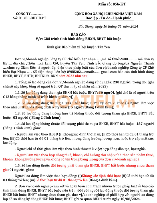 Mẫu báo cáo tình hình đóng Bảo hiểm Xã hội
