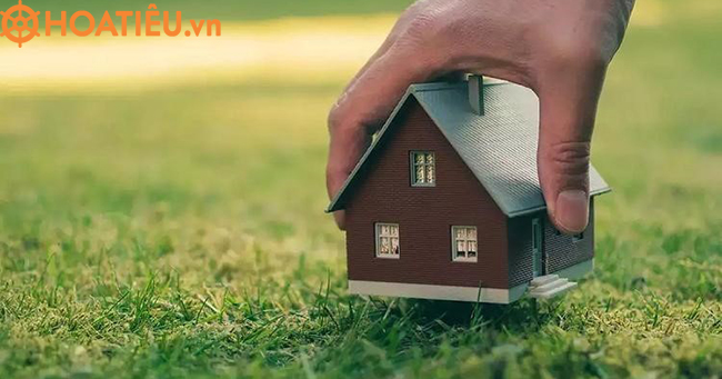 Tài đơn đăng ký biến động đất đai 2024