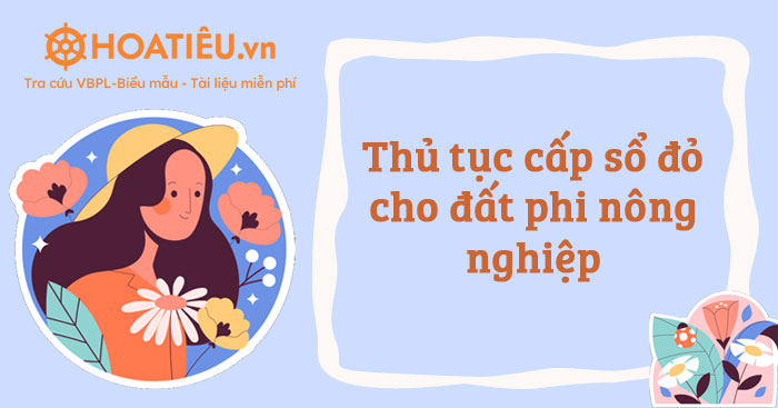 Thủ tục cấp sổ đỏ cho đất phi nông nghiệp 2024