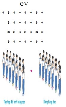 Giáo án Giáo dục thể chất 5 Kết nối tri thức