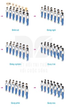 Giáo án Giáo dục thể chất 5 Kết nối tri thức