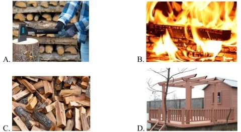 Đề thi học kì 1 môn Khoa học lớp 5 Cánh Diều