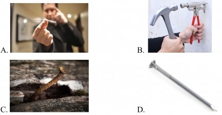 Đề thi Khoa học lớp 5 cuối kì 1