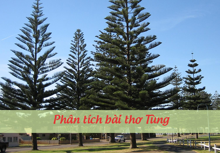 Phân tích bài Tùng của Nguyễn Trãi