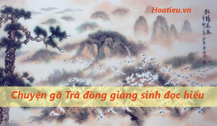 Đọc hiểu văn bản Chuyện gã Trà đồng giáng sinh