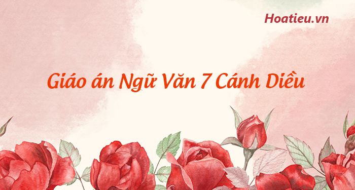 Giáo án bài giảng môn Ngữ văn 7 Cánh Diều