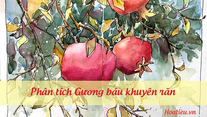 Gương báu khuyên răn phân tích