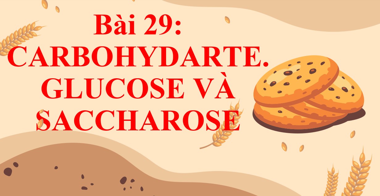 Giáo án PPT Khoa học tự nhiên 9 KNTT bài 29