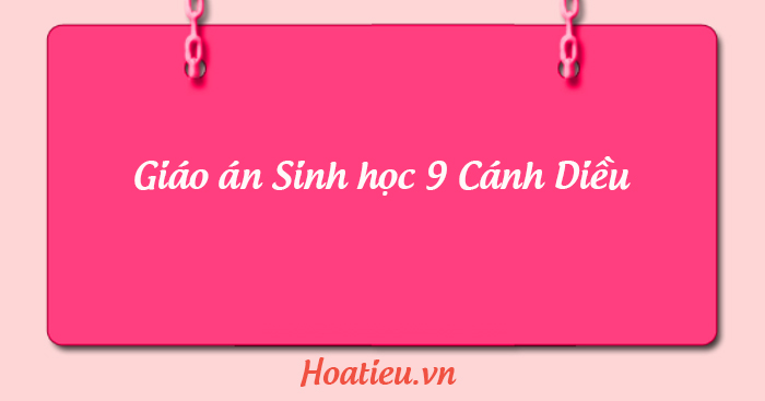 Giáo án KHTN 9 Cánh Diều Sinh học
