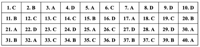 Đáp án đề minh họa tiếng Anh 2025 lớp 10 Hà Nội