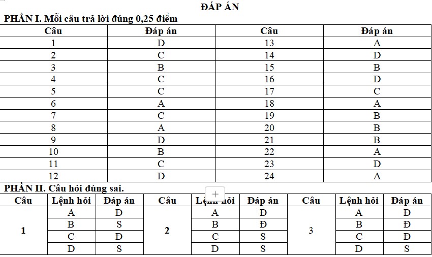 Đề thi cuối kì 2 Tin 12 Cánh Diều