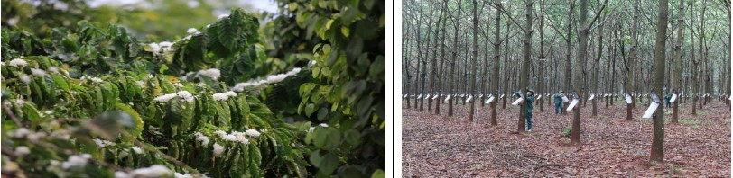 Giáo án GDĐP 8 Đắk Lắk - bài 2