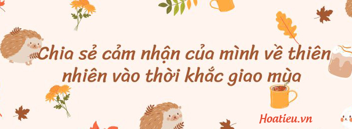 Cảm nhận của em về thời khắc giao mùa từ hạ sang thu