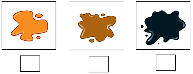 Đề thi học kì 1 môn Tiếng Anh 3 Family and Friends