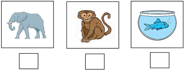 Đề thi Tiếng Anh lớp 3 học kì 1 Chân trời sáng tạo