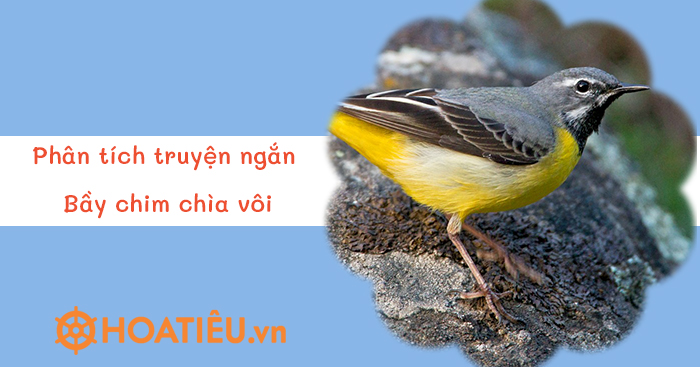 Phân tích Bầy chim chìa vôi