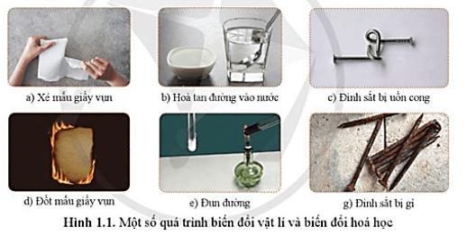 Giải bài 1 Khoa học tự nhiên 8 Cánh Diều