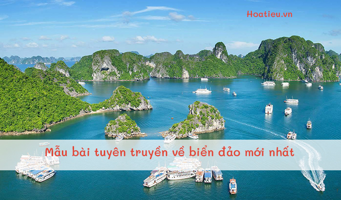 Bài tuyên truyền biển đảo cho học sinh