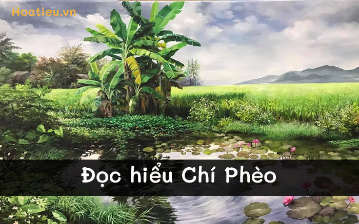 Đọc hiểu Chí Phèo