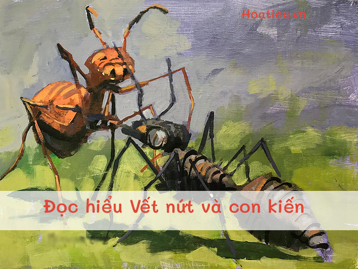 Đọc hiểu văn bản Vết nứt và con Kiến